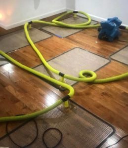Water Damage New York